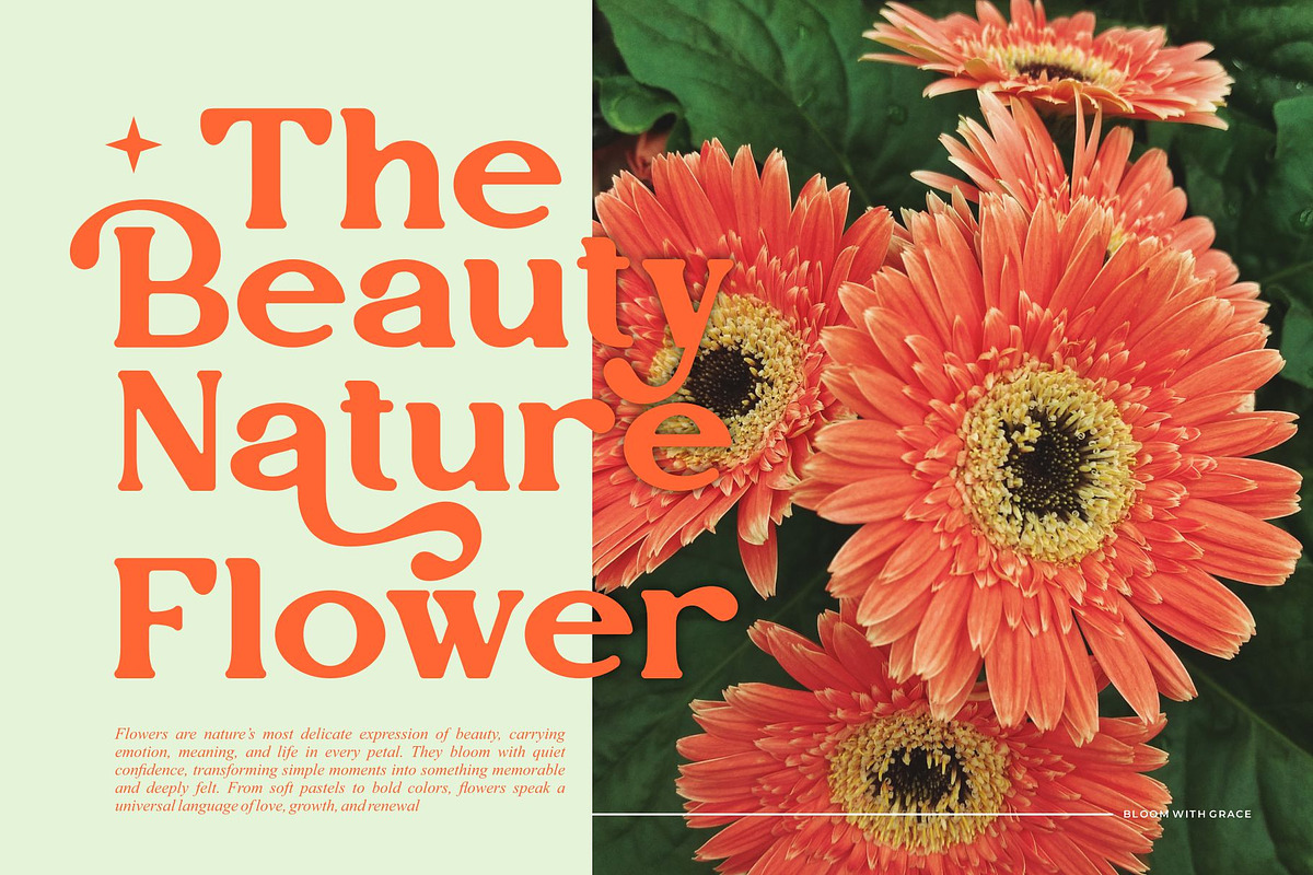 Vegitto || Vintage Retro Serif Font, a Serif Font by Ermedia Studio (Photo 6 of 10)