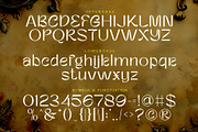 Enforia - Classic Display Font, a Sans Serif Font by Salamahtype (Thumbnail 7 of 8)