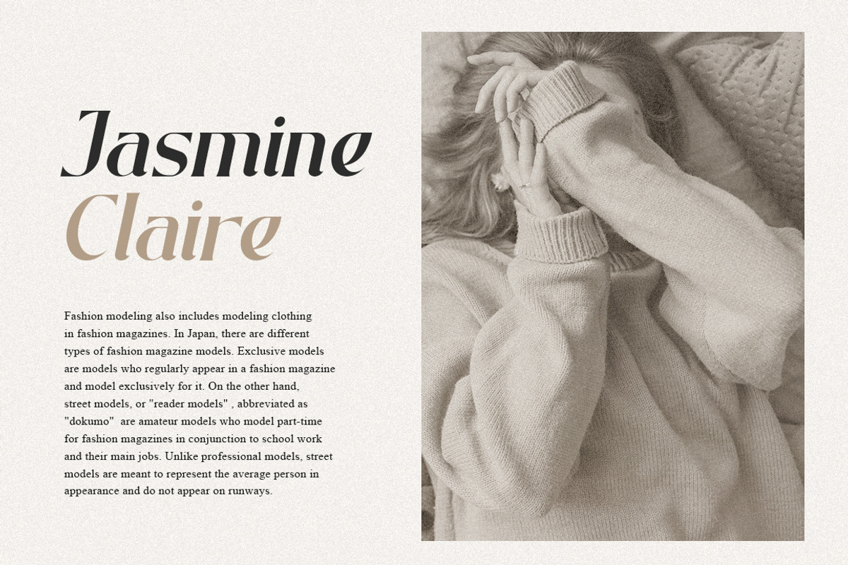 Badger Glance - Modern Serif Font, a Serif Font by Heinzel Std (Photo 2 of 14)