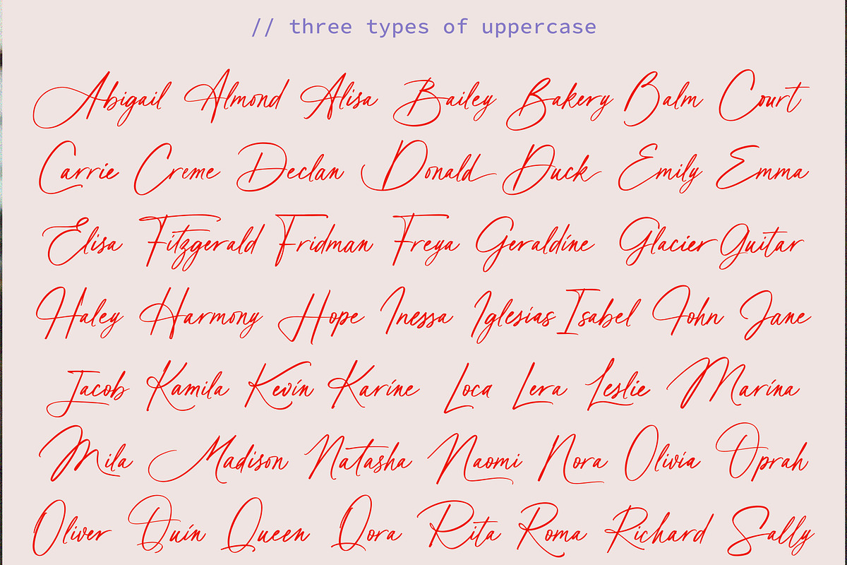 Agatha Bergman // Luxury Signature, a Handwritten Font by PeachCreme (Photo 17 of 18)