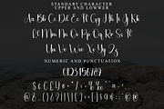 Solitude, a Handwritten Font by FreshTypeINK (Thumbnail 7 of 8)