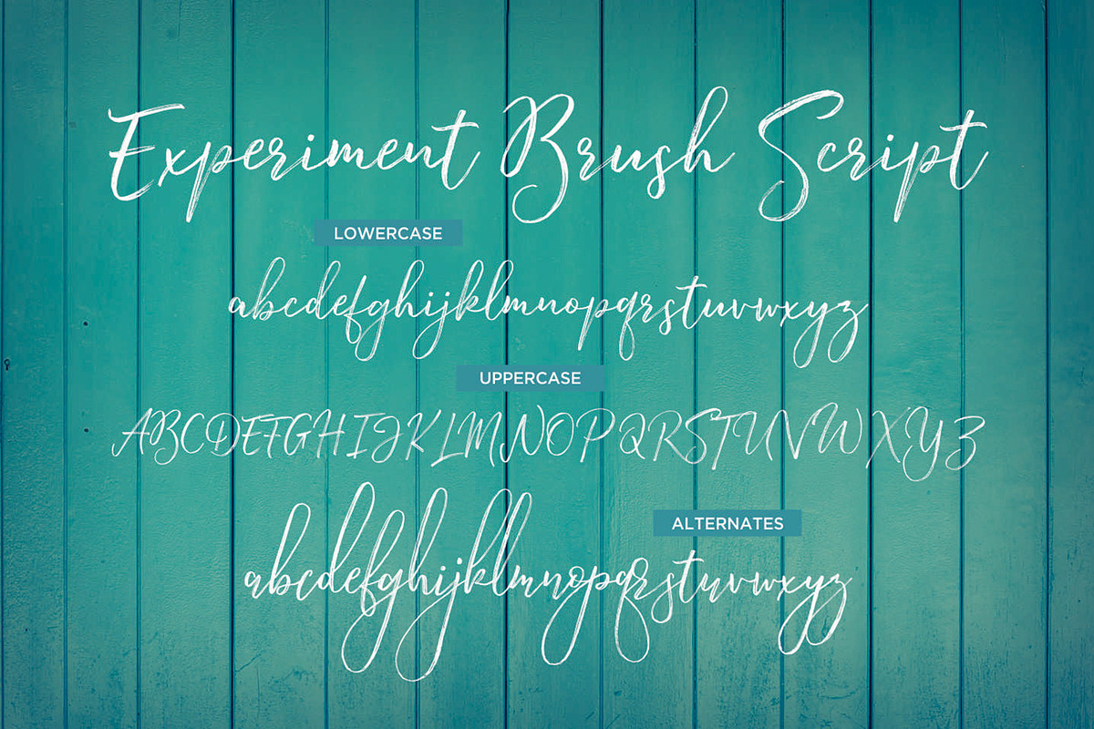 Experiment Brush Script preview 8