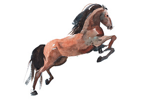 watercolor painting of rearing up horse, brown mustang getting on legs aquarelle drawing, an Illustration by undrey