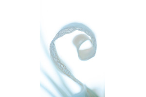 Delicate Spiral: Abstract Beauty of, a Nature Photo by Rohan Photography