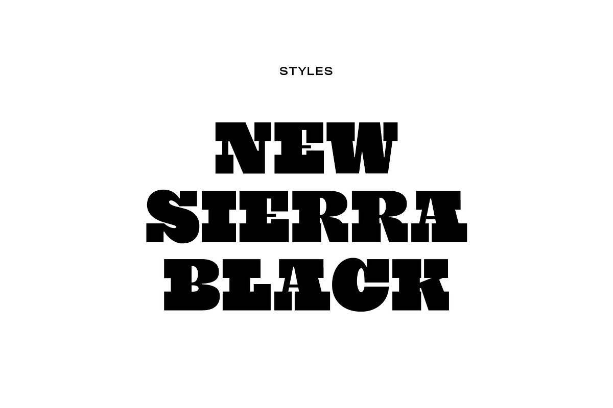 New Sierra, a Slab Serif Font by Diego Negrete (Photo 5 of 7)