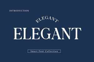 Elegant, a Serif Font by Wow Magic