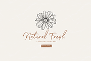 Charleston Handwriting Font, a Script Font by Silverdav (Thumbnail 5 of 15)