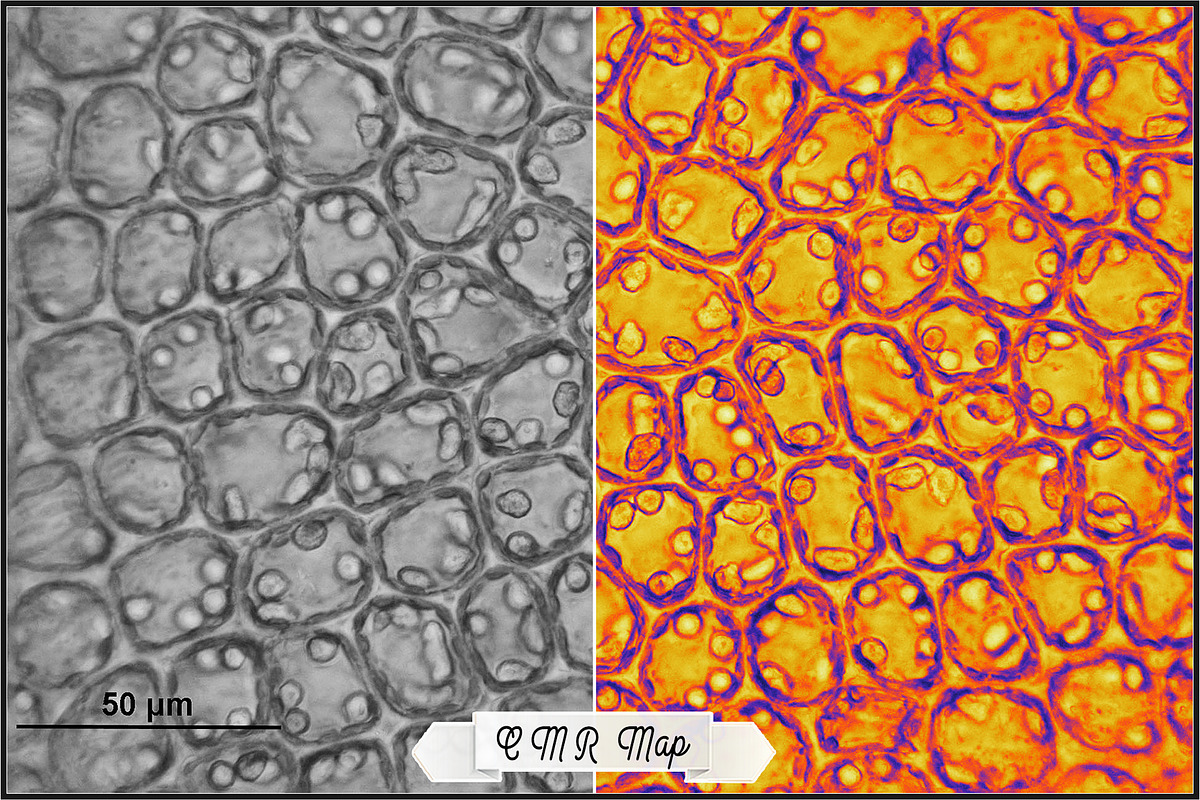 Science Visualization LUTs Vol. 3 preview 7