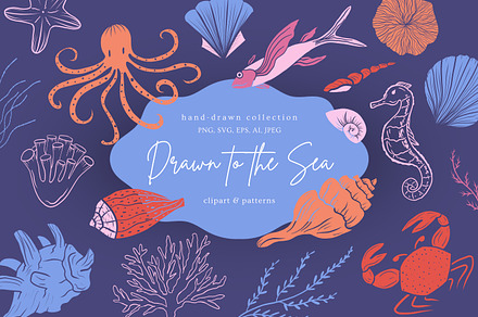 Hand-Drawn Marine Clipart & Patterns, a Decorative Illustration by CapriceMeDesigns