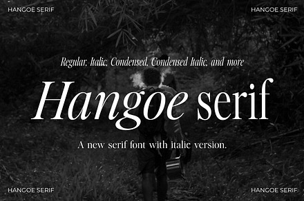 Hangoe: A Versatile Serif Typeface, a Serif Font by Issam Type