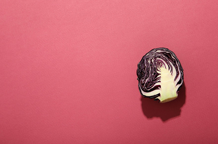 Half of cabbage on pink background, space for text, a Food & Drink Photo by AtlasStudio