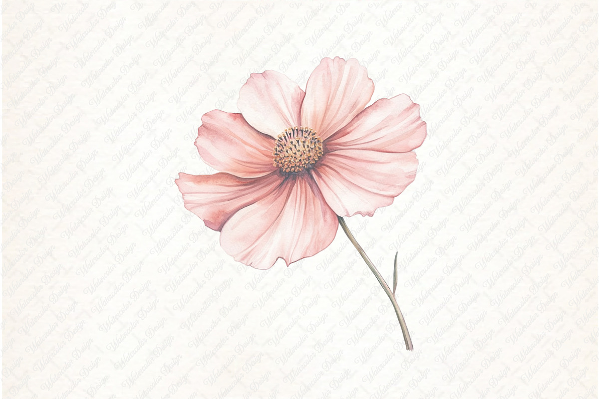 Watercolor Blush Wild Flowers, an Illustration by Watercolor design (Photo 12 of 12)