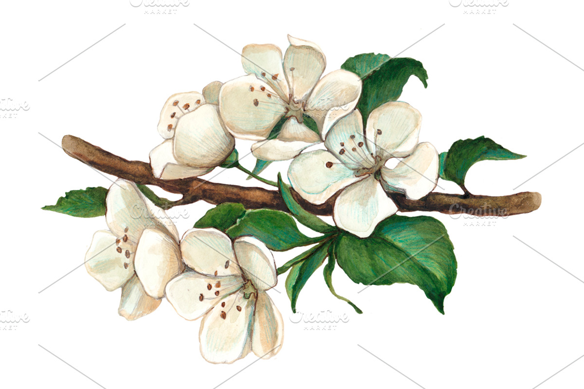Seamless pattern with apple flowers preview 4
