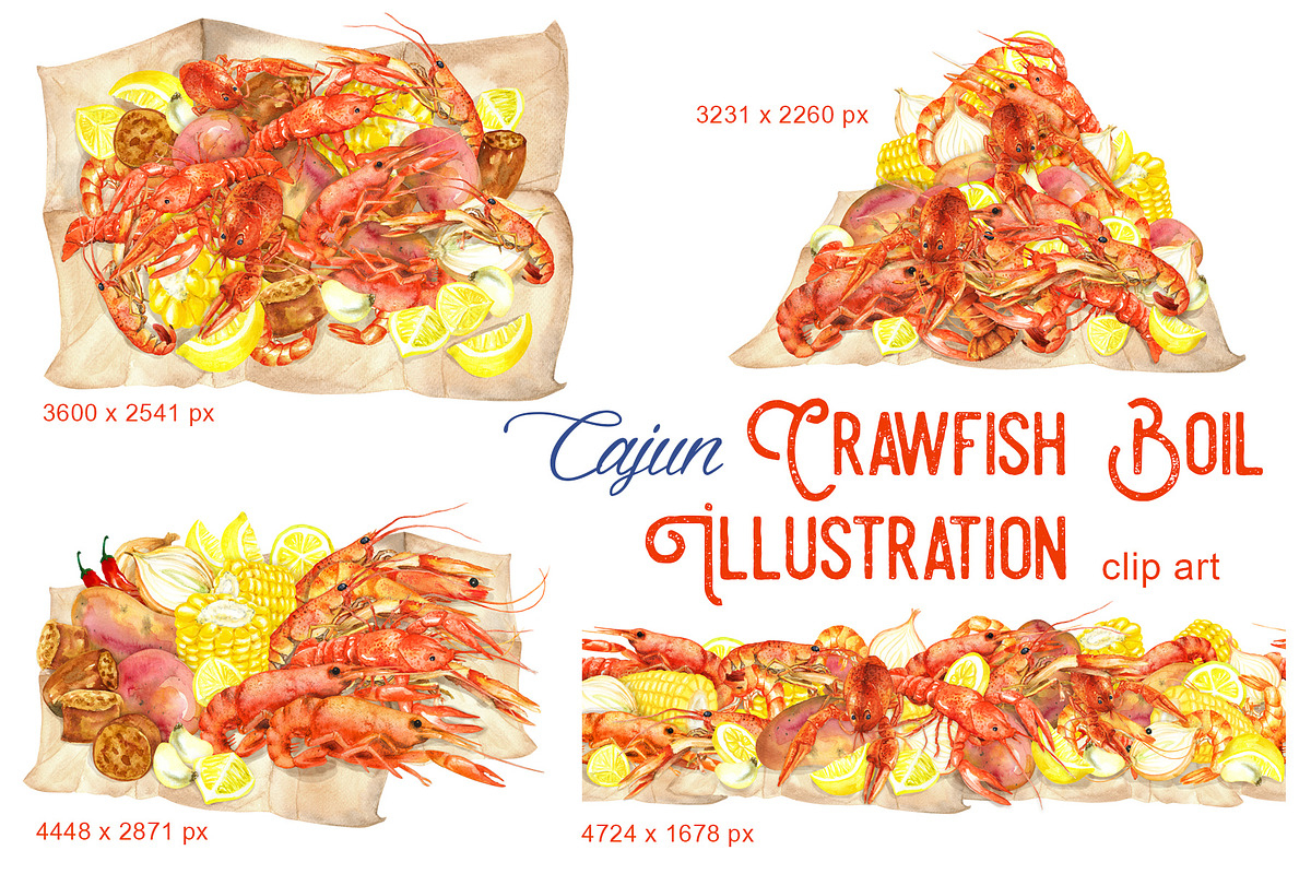 Crawfish Boil Illustration, a Food Illustration by Dora Katona (Photo 1 of 3)