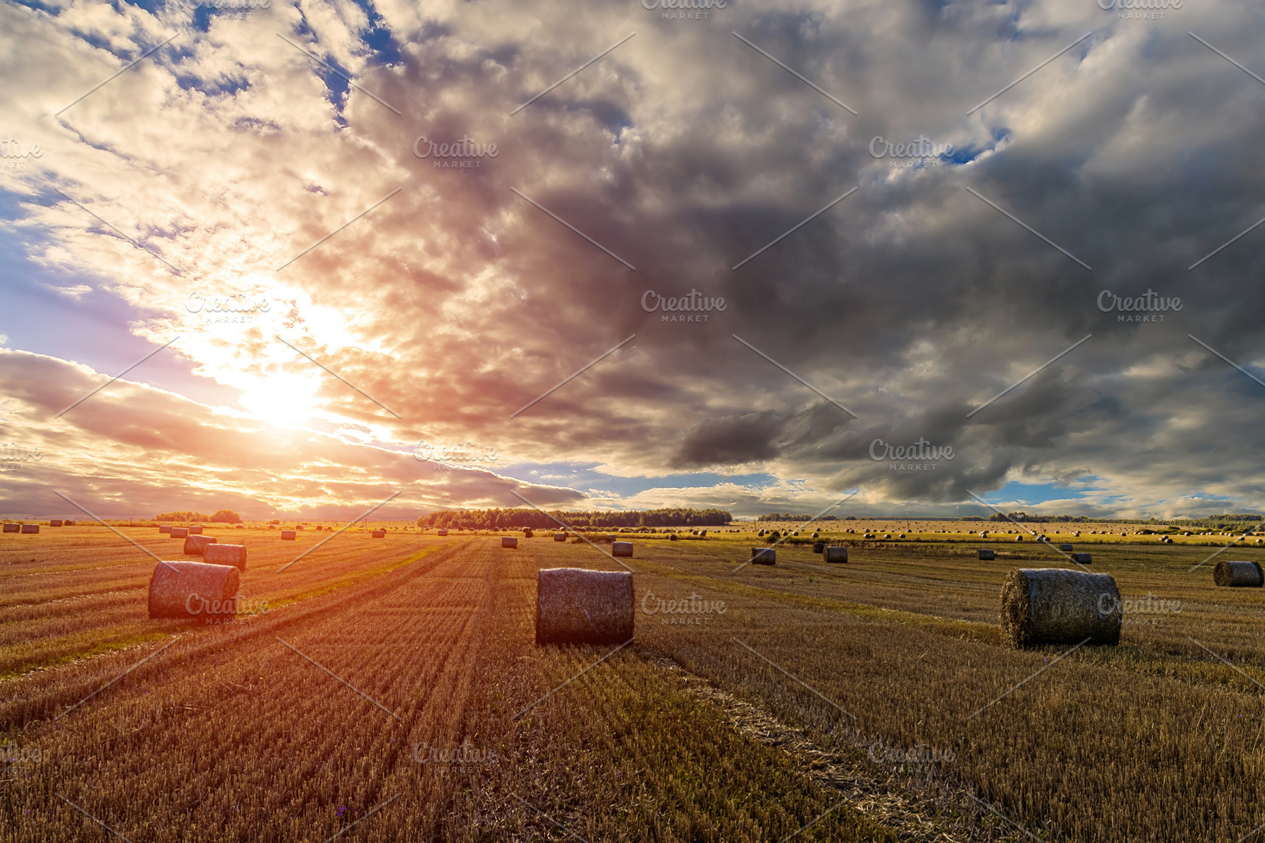 Hay bales in an agricultural field during sunset. Rural landscap, a Nature Photo by Eugene_Photo