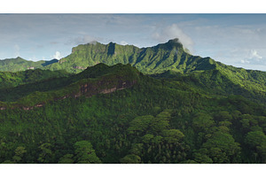 Breathtaking aerial view of lush, a Nature Photo by Goinyk
