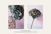 Hydrangea Love | Styled Photo Bundle, a Nature Photo by The Responsible Creatives (Thumbnail 2 of 6)