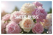 Zujiha - The Elegant Modern Serif Fo, a Font by Astuti Studio (Thumbnail 9 of 16)