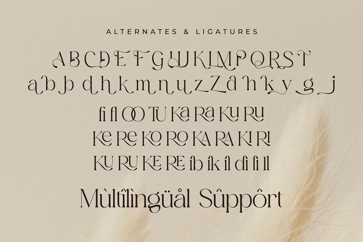 Aurora Magnollia Font Duo, a Serif Font by Storytype Studio (Photo 12 of 15)