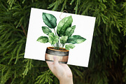 Watercolor Home Plants Clipart, an Illustration by Libby Wishes (Thumbnail 3 of 7)