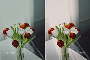 Fuji FP 100C, a Preset Add-On by colorituals (Thumbnail 8 of 8)