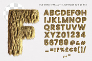 Old Dry Grass or Fur Typo Creator, a Sans Serif Font by TVartworks (Thumbnail 8 of 13)