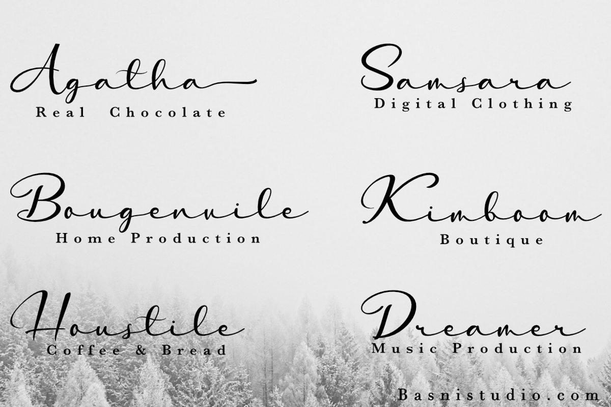 Ballencia Handwritten Font, a Script Font by Basnistudio (Photo 3 of 6)