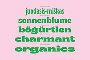 65% OFF Brice Font Family, a Font by Sundance Tipografia (Thumbnail 10 of 17)