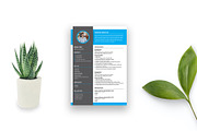 Modern Resume Template / Words, AI, a Resume Template by Annudesign (Thumbnail 4 of 6)