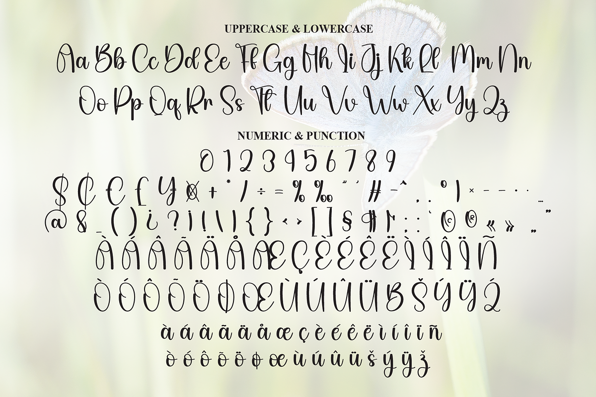 Butterfly | Script Font, a Handwritten Font by Scratchones (Photo 7 of 8)