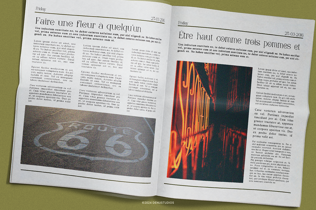 Frieren La Belle | Modern Serif, a Serif Font by Denustudios (Photo 8 of 13)