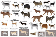Dog show, an Animal Illustration by Viktoria.1703 (Thumbnail 1 of 3)