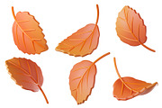 Cute 3D Autumn Leaves, a Plants & Tree 3D Model by Hannet (Thumbnail 5 of 5)