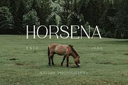 Figurative - Elegant Serif Font, a Serif Font by RockboyStd (Thumbnail 8 of 12)