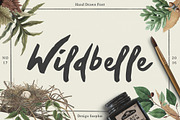 Wildbelle Font, a Script Font by Design Surplus (Thumbnail 1 of 4)