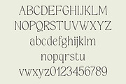 Grispily, a Serif Font by Black Studio (Thumbnail 3 of 16)
