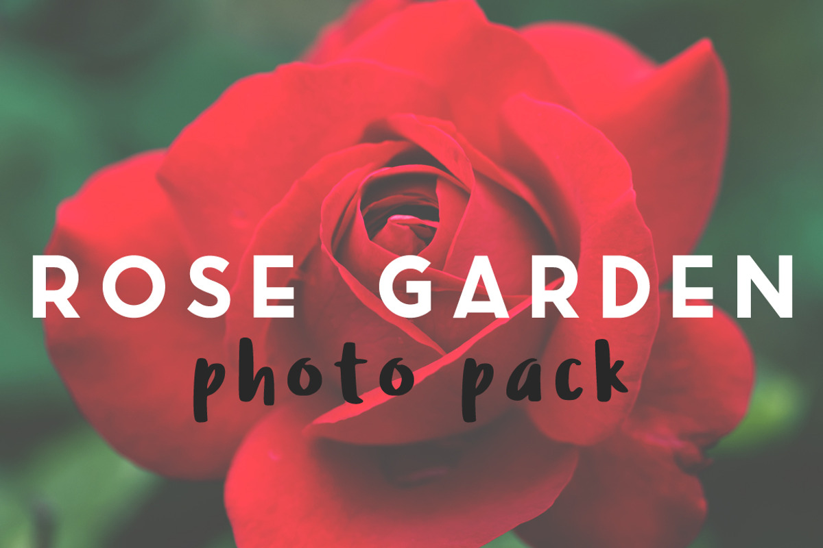 Rose Garden Photo Pack, a Templates & Theme by c l a r a X Y (Photo 1 of 6)