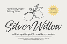 Silver Willow Natural Signature Font