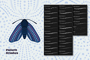 Moth Creator for Procreate, a Brush Add-On by Pencil Twist (Thumbnail 4 of 11)