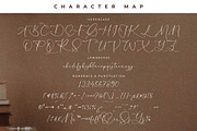 Kingdom Estella Font Duo, a Serif Font by Storytype Studio (Thumbnail 13 of 15)