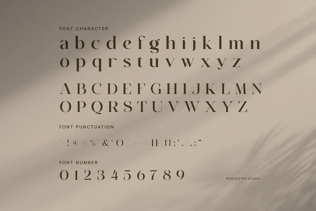 Magin Elegant Serif Font, a Serif Font by Perfectype (Photo 7 of 8)
