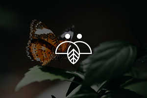 Minimalist Butterfly Nature Logo