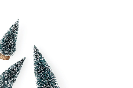 Christmas trees on white background