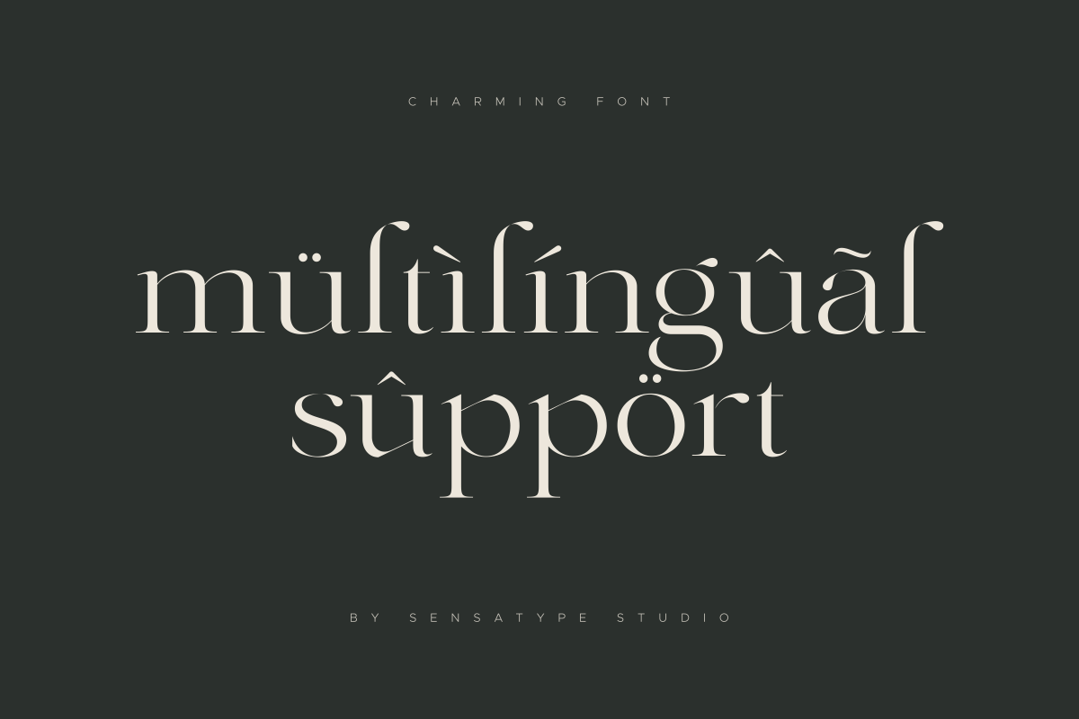 Charming - Classy & Decorative Font, a Serif Font by Sensatype (Photo 16 of 21)