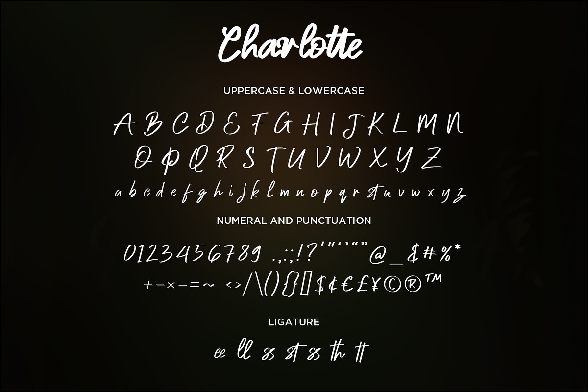 Charlotte - Handwritten Script fonts, a Script Font by Nahar_std (Photo 5 of 8)