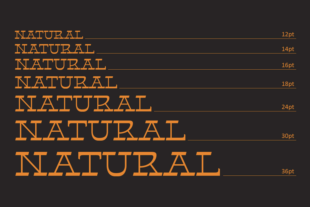 Helter Slab, a Serif Font by Dora Typefoundry (Photo 9 of 13)