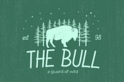 Importante, a Sans Serif Font by Pinisi ART (Thumbnail 5 of 10)
