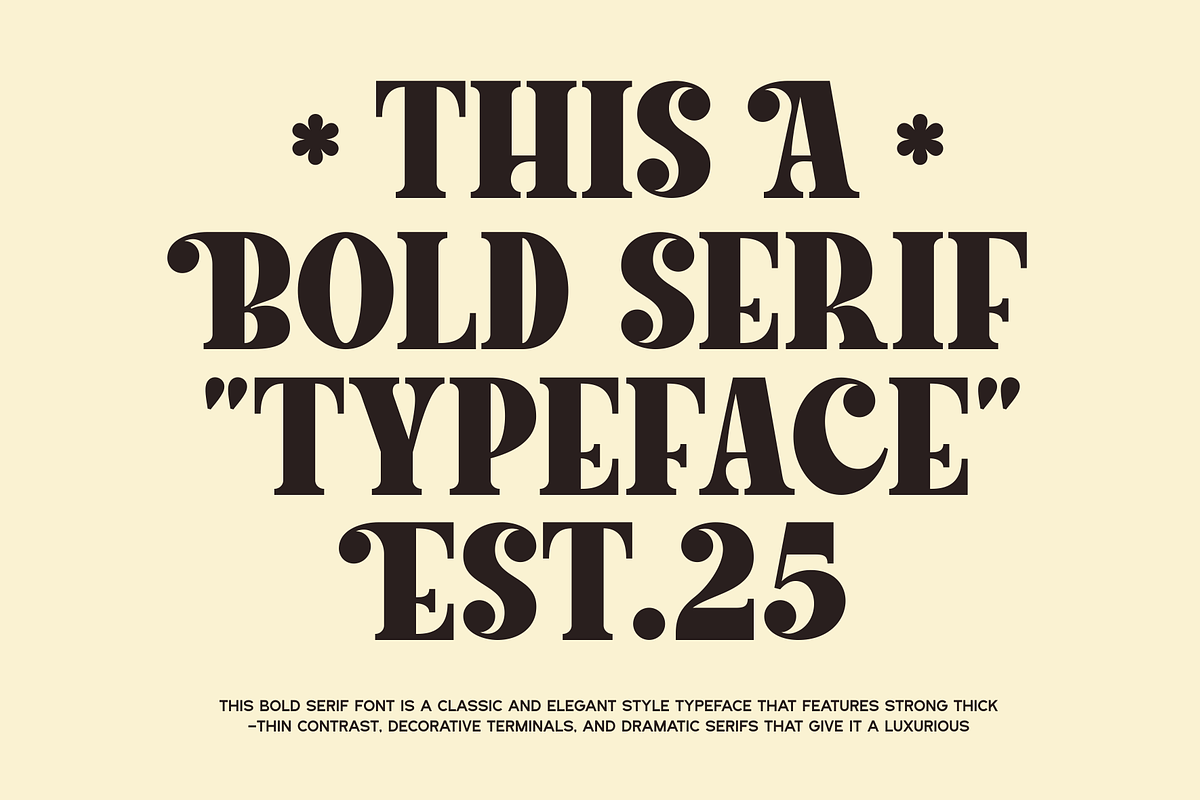 Lacer - Serif Bold Typeface, a Serif Font by MaikoHatta (Photo 6 of 11)