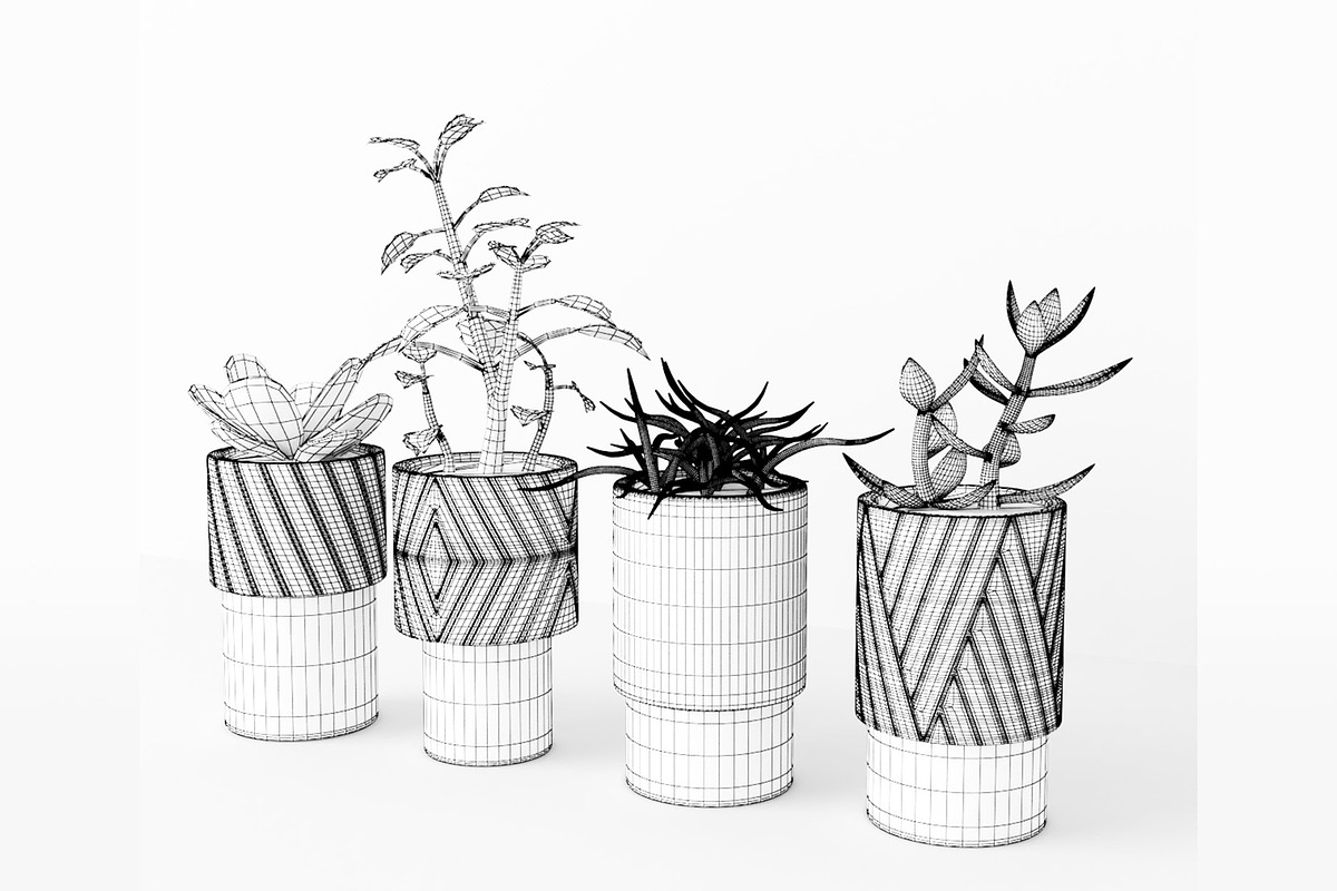 Decorative Plants, a Furniture 3D Model by 3DCargo (Photo 8 of 9)