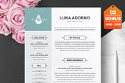 Resume/CV Bundle | 200+ for $29, a Resume Template by ResumeInventor (Thumbnail 119 of 207)